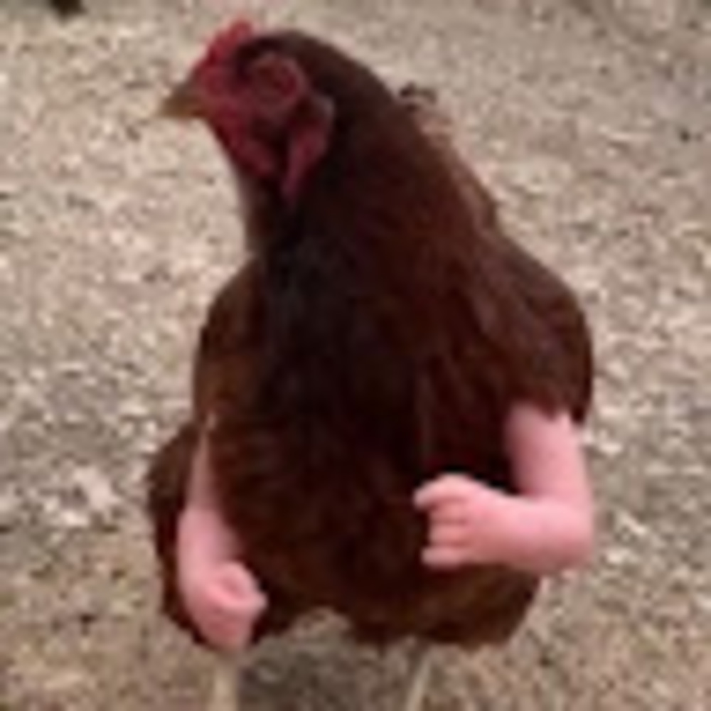 Meet your Posher, Chloe